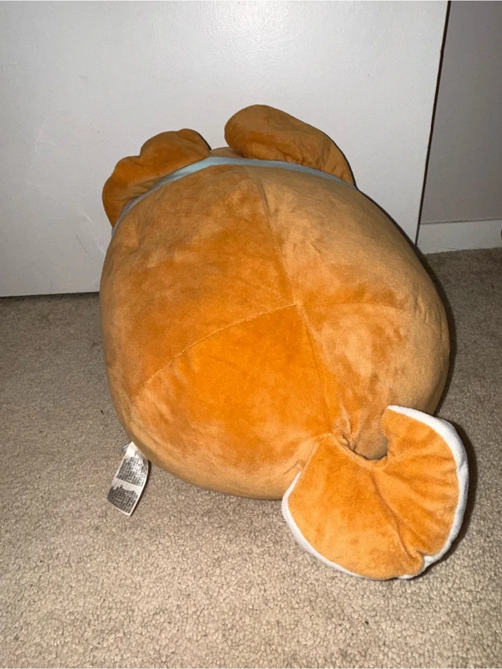 Amuse Koume Shiba Inu